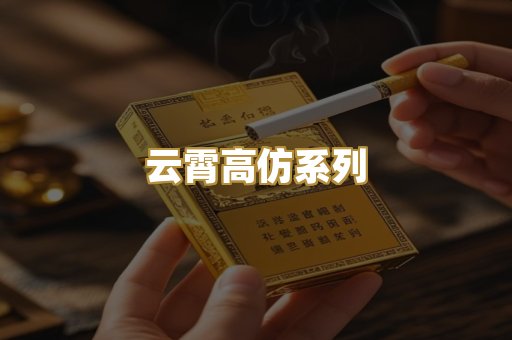 云霄高仿系列
